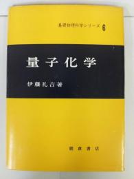 量子化学　基礎物理科学シリーズ　6