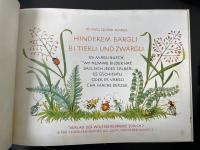 Hinderem Bärgli bi Tierli und Zwärgli