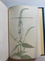 川上嘉市植物図譜　盛林堂版