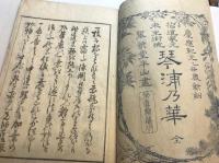 琴浦乃華　花道家元未生御流