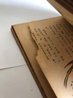 ヒヨコ物語 : 繪童話