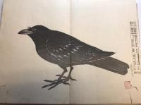 石蘭先生毛筆水墨画　3・4　合本1冊