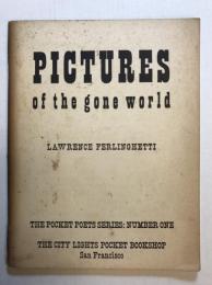 Pictures of the gone world The Pocket poets series, no. 1 (second edition)