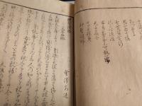 閑聖漫録