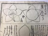 巾着　型紙　桔梗