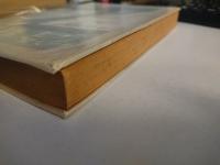 冷蔵屍 : 小説集