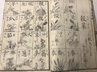通俗増字單語圖觧　下　巻之二