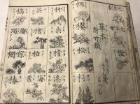 通俗増字單語圖觧　下　巻之二