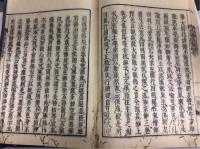彌陀經畧解指要鈔　上 , 中　計2冊
