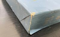 東南アジア出張報告書　（1972.5.18～5.30）　　ジャスコ主催東南アジア視察団