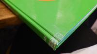 Apples & Oranges 01: Best Dutch Graphic Design