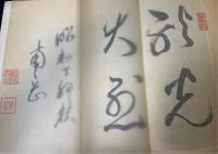 立見大將傳