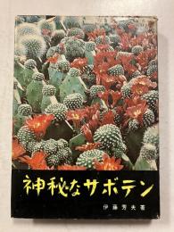 神秘なサボテン