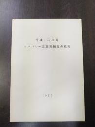 沖縄・石垣島ヤマバレー遺跡発掘調査概報