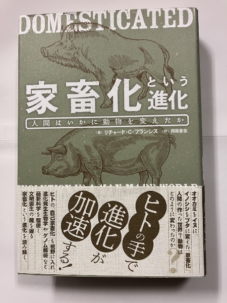 家畜化という進化 : 人間はいかに動物を変えたか(リチャード・C 家畜化という進化 : 人間はいかに動物を変えたか(リチャード・C