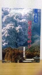 被災地の叫び  悪夢の再来　1994年度版 ;  知っておきたい災害基本法抜粋