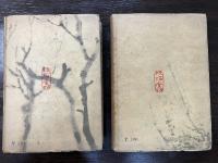 彦左一代　地龍の巻・天馬の巻　計2冊