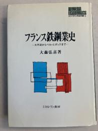 フランス鉄鋼業史　<Minerva現代経済学叢書5>