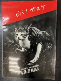 ビバ!サスケ　キャットライフ50号記念　キャットライフ別冊子猫の風景