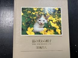 猫の麦わら帽子