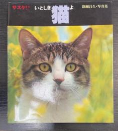 サスケ!!いとしき猫よ