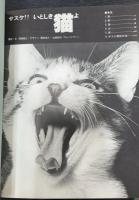 サスケ!!いとしき猫よ