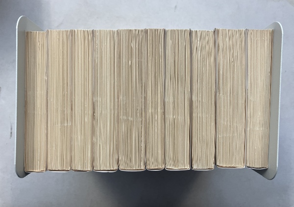 南総里見八犬伝〈岩波文庫〉 全10巻揃(作者：曲亭馬琴 校訂