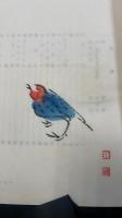 有るや無しや