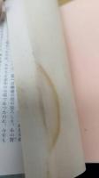 潤一郎訳源氏物語　全8冊揃　新書版