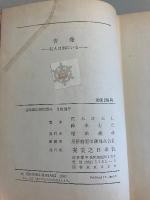 告発 : 犯人は別にいる