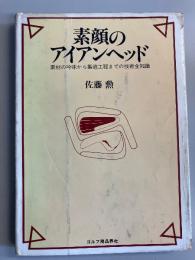 素顔のアイアンヘッド