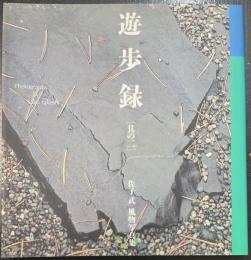 遊歩録 : 佐子武風物写真集　其の二
