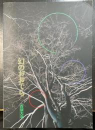 幻のおおでら　百済大寺　＜飛鳥資料館図録　第33冊＞