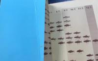 海釣り・川釣りの仕掛け全科