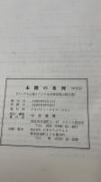 未踏の氷河 : ランゲル山地ナベスナ氷河東部登山報告書
