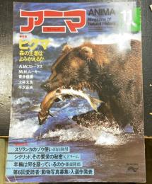 アニマ特集：　ヒグマ　森の王者はよみがえるかＡ.Ｗ.ストークス　Ｍ.Ｈ.ルーキー　青木俊樹　大林太良　平沢正夫　＜1981年11月　Ｎｏ104＞