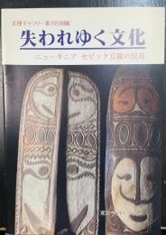 失われゆく文化 : ニューギニアセピック丘陵の民具　天理ギャラリー第88回展
