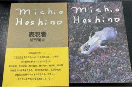 表現者　＜Switch library＞