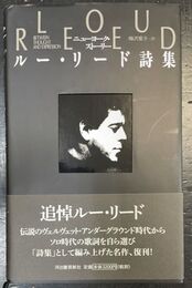 ニューヨーク・ストーリー ルー・リード詩集　改訂版