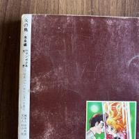 火の鳥2　未来編　月刊マンガ少年別冊