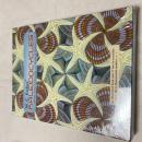 M.C. Escher Kaleidocycles エッシャー 立体模型1...