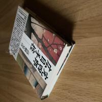 高橋克彦『完四郎広手控』初版 帯付 集英社 時代ミステリー 江戸捕物長編