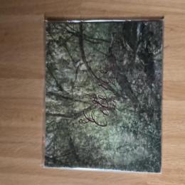 Peter Bialobrzeski Eden 限定500部 SUPER LABO 写真集 2010年