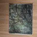 Peter Bialobrzeski Eden 限定500部 SUPER LABO 写真集 2010年