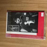 Ed Templeton Coming to Grips 限定500部 SUPER LABO 写真集 2009年