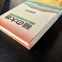 稲の大地 「稲の道」からみる日本の文化　渡部忠世　初版　帯付