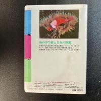 海中図鑑　伊豆の海水魚　Water Proof Fish Guide　益田一編　初版　東海大学出版会