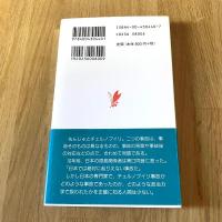 原発事故を問う―チェルノブイリから、もんじゅへ　七沢潔　岩波新書 新赤版440