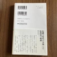 カール・シュミット ナチスと例外状況の政治学 藤山宏 中公新書2597