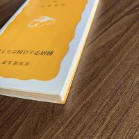 経済学とは何だろうか 佐和隆光 岩波新書 経済学入門 現代経済 社会科学